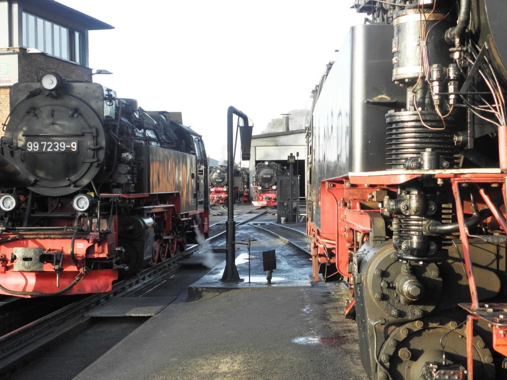 Werningerode - 2012